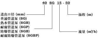 SG��ͨ�ܵ��� �Y���D